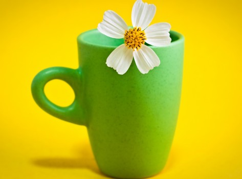flower_cup-1920x1080